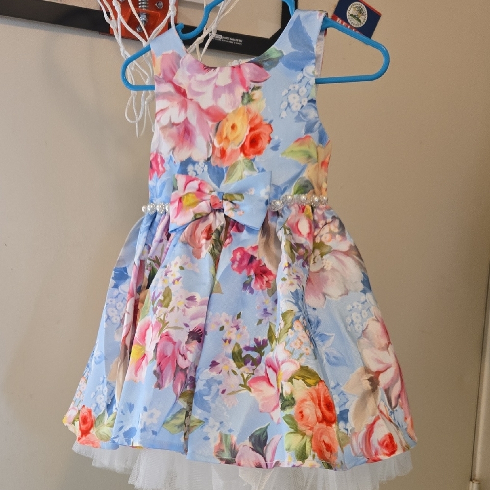 Elegant Blue and Pink Formal Dress